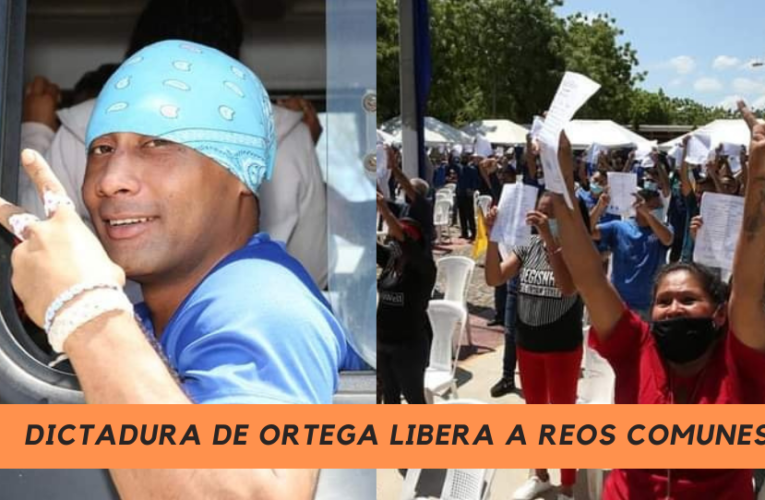 Régimen de Ortega libera 800 reos comunes bajo «convivencia familiar»